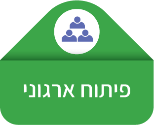 פיתוח ארגוני