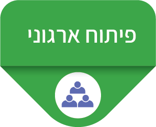 פיתוח ארגוני | CM - Change & Management